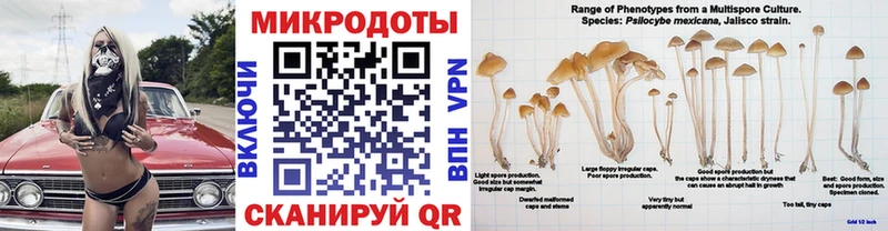 мориарти состав  Электросталь  Псилоцибиновые грибы ЛСД  hydra как зайти 